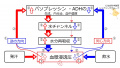 2022年8月9日 (火) 15:23時点における版のサムネイル