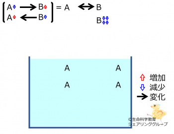ChemicalEquilibriumChangesByDecInMolB-2.jpg