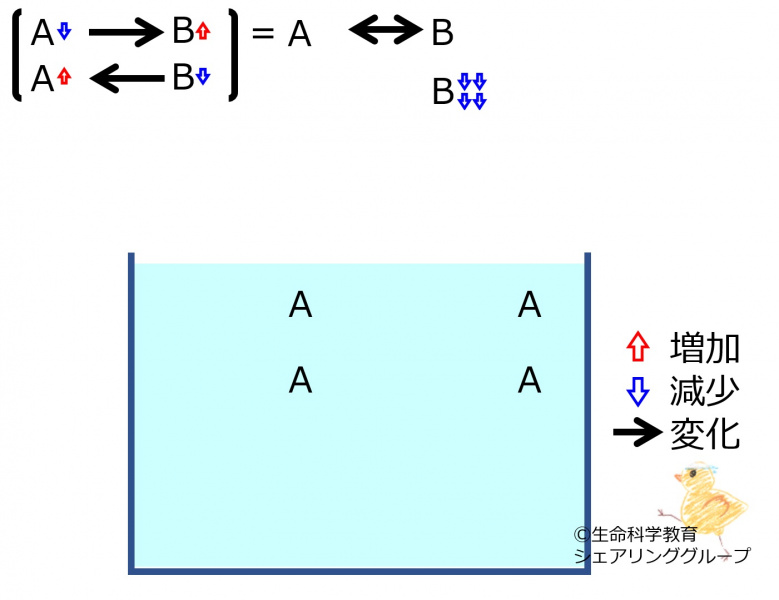 ファイル:ChemicalEquilibriumChangesByDecInMolB-2.jpg