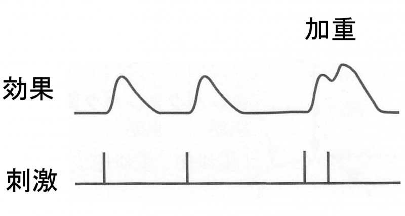 ファイル:00894.jpg