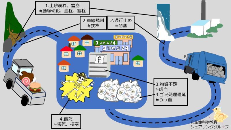 ファイル:ImagesOfTheCircPathoTerms.jpg
