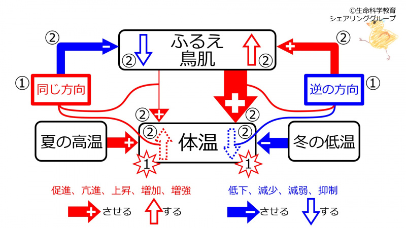 ファイル:ShiveringControlBasicSummary-Jpn.jpg