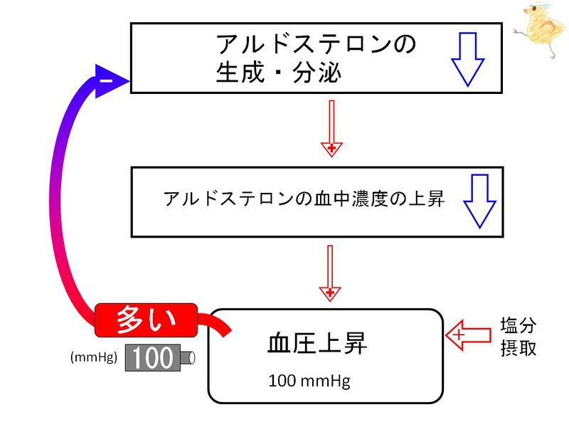 ファイル:00604.jpg
