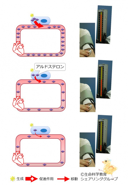 ファイル:03763-wb.jpg