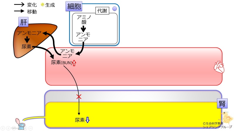 ファイル:03810.jpg