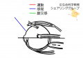 2023年2月27日 (月) 15:15時点における版のサムネイル