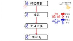 /wiki/images/thumb/d/d4/HypoVentO2.jpg/250px-HypoVentO2.jpg