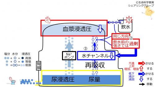 WaterDuringChannelControl-2020.jpg