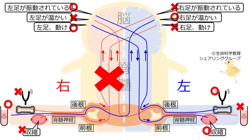 ファイル:00210.jpg