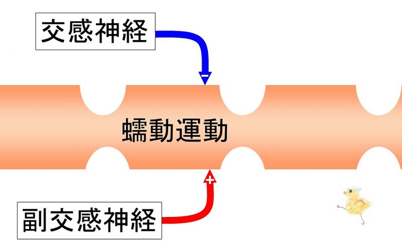 ファイル:03497.jpg