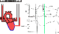 00486.gif