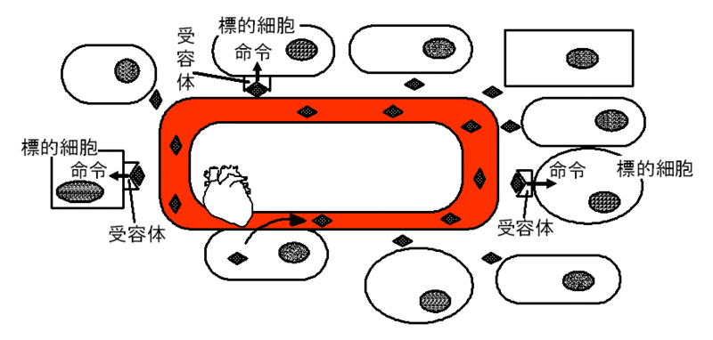 ファイル:00676.gif