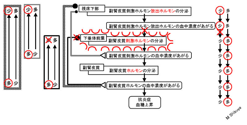 ファイル:00716.jpg