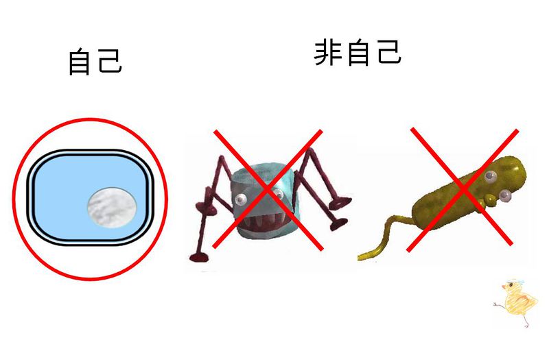 ファイル:01636.jpg