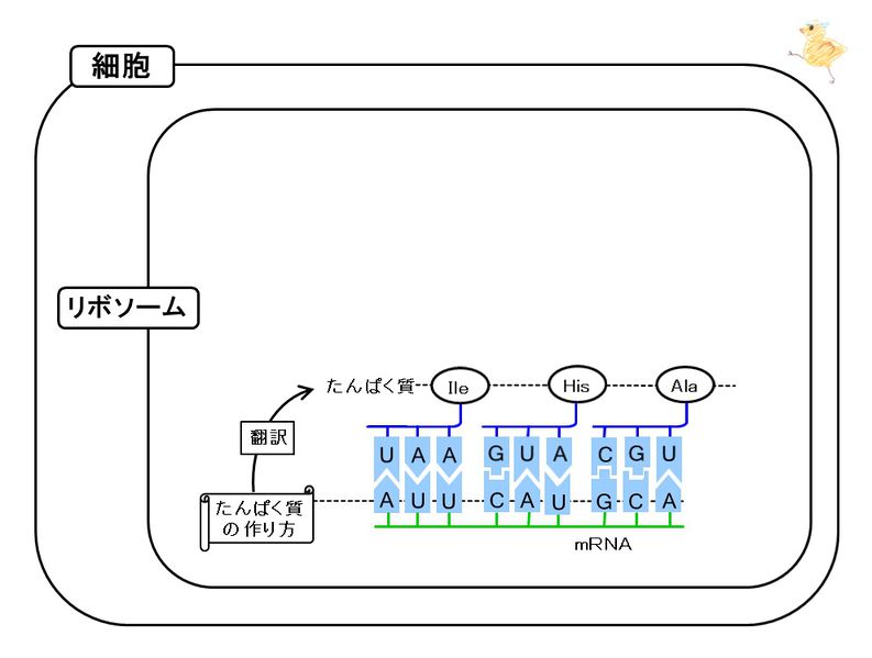 ファイル:03493.jpg