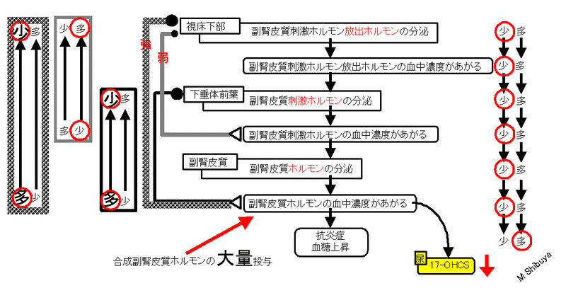 ファイル:00794.jpg
