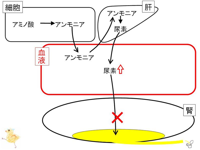 ファイル:01364.jpg