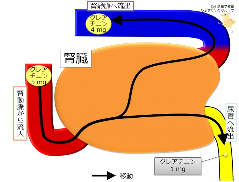ファイル:04266.jpg