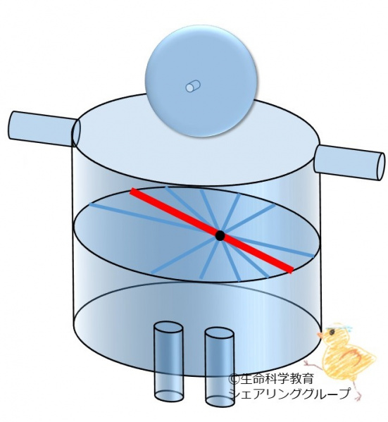 ファイル:ECGleadQuiz342.jpg
