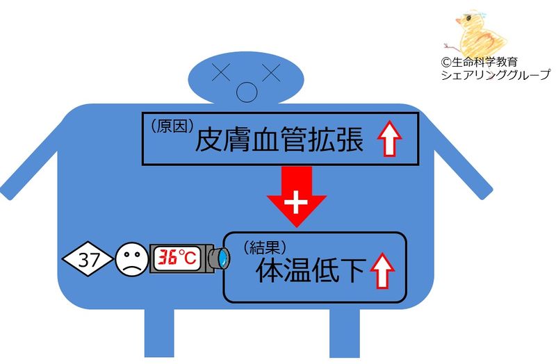 ファイル:皮膚血管拡張.jpg