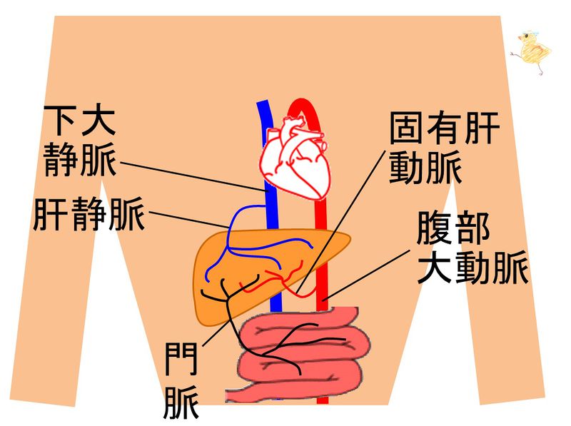 ファイル:03426.jpg