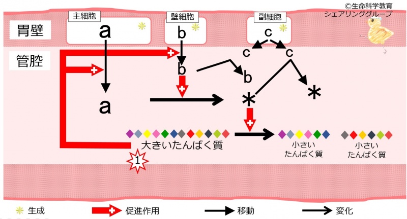 ファイル:04560.jpg