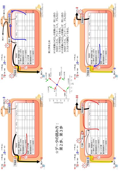 ファイル:BicorboBasicBasicnateBufferDataSummaryーJpn-wb.jpg