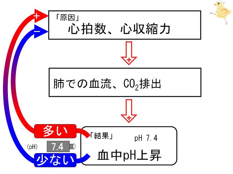 ファイル:02126.jpg