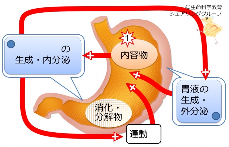 ファイル:03441-wb.jpg