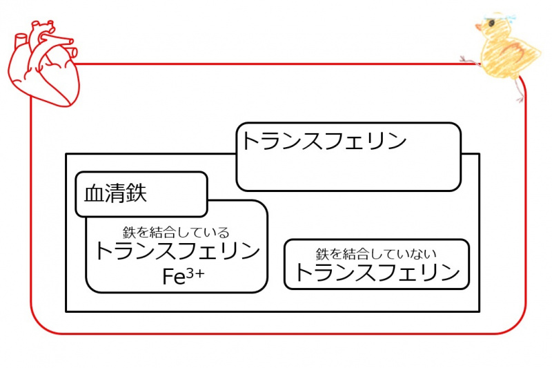 ファイル:04426-wb.jpg