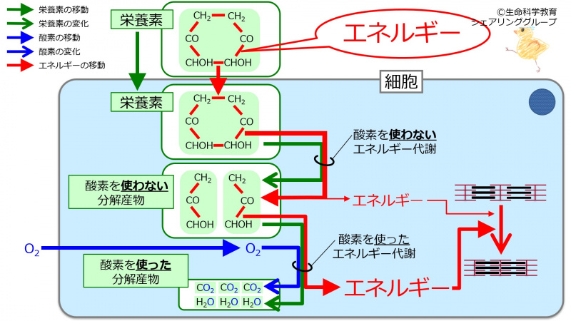 ファイル:04721.jpg