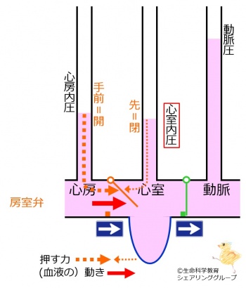 /wiki/images/thumb/d/db/%E6%88%BF%E5%AE%A4%E5%BC%81_%E9%96%8B.jpg/350px-%E6%88%BF%E5%AE%A4%E5%BC%81_%E9%96%8B.jpg