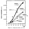 2021年3月5日 (金) 17:44時点における版のサムネイル