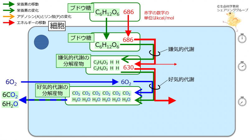 ファイル:04205.jpg