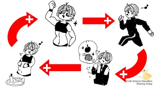 GoodNutritionSpiral-Jpn.jpg