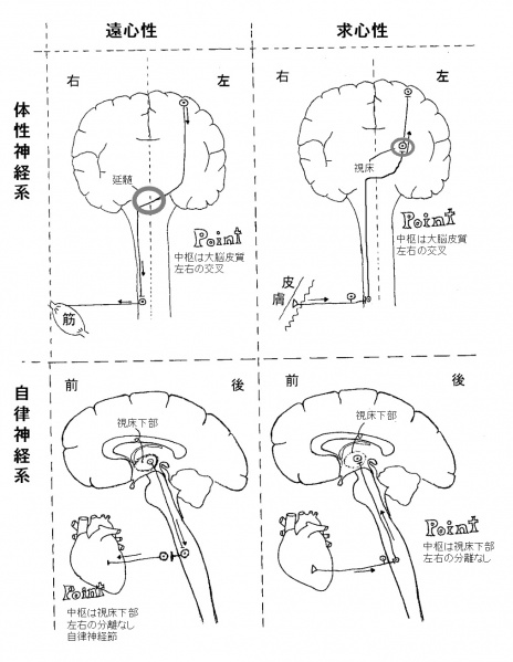 ファイル:00227.jpg