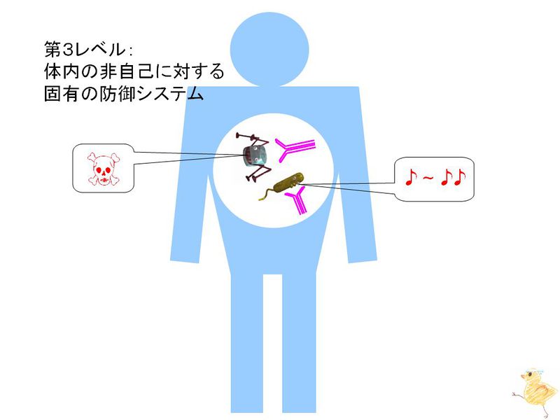 ファイル:01648.jpg