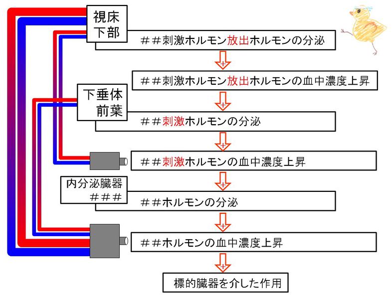 ファイル:02534.jpg