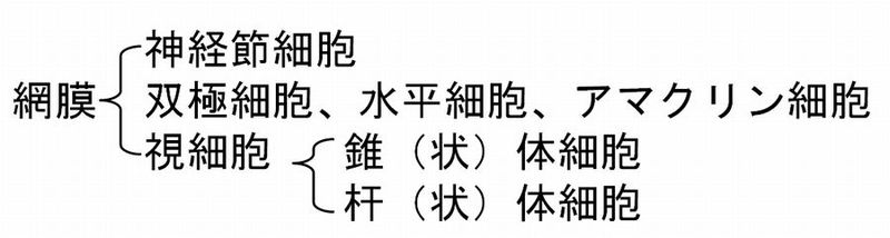 ファイル:03025.jpg