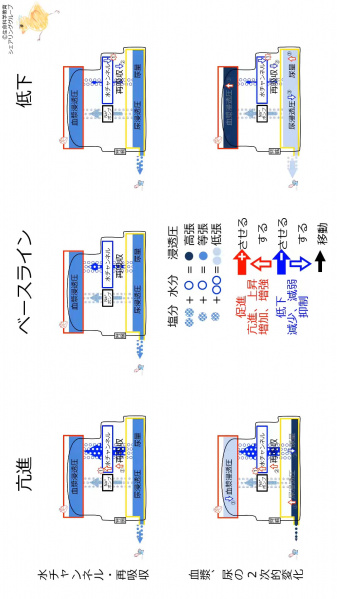 ファイル:ChannelEffectSummary-wb.jpg
