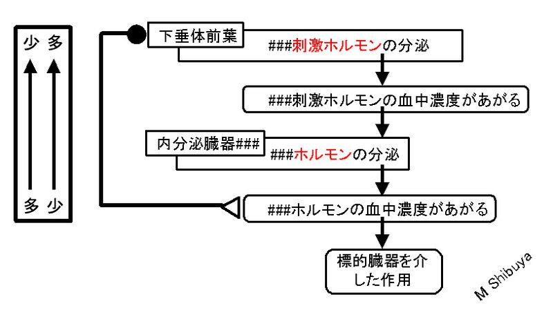 ファイル:00710.jpg