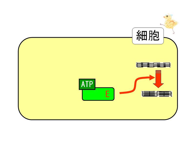 ファイル:01322.jpg