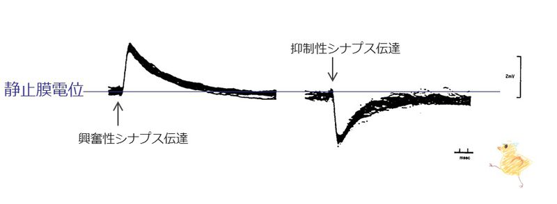 ファイル:04225.jpg