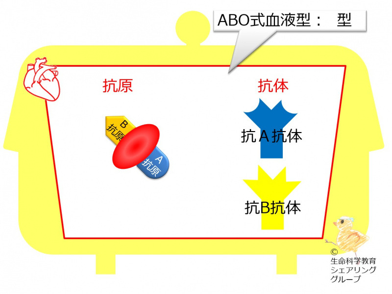 ファイル:04551-wb.jpg