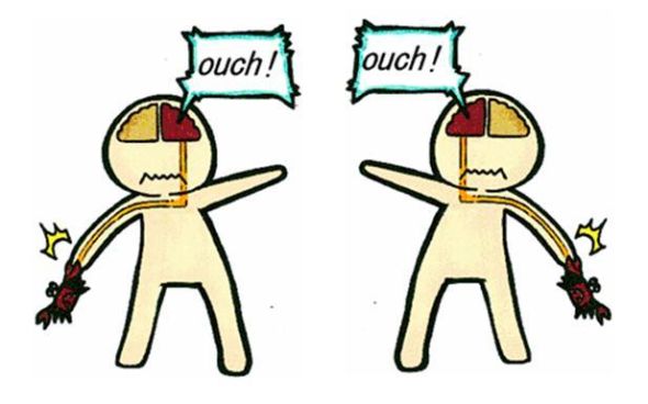 /wiki/images/thumb/d/df/01740.jpg/590px-01740.jpg