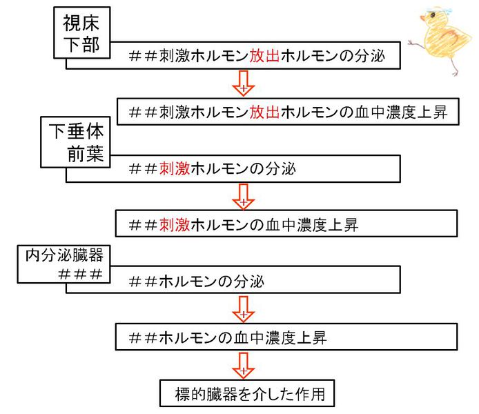 ファイル:02532.jpg
