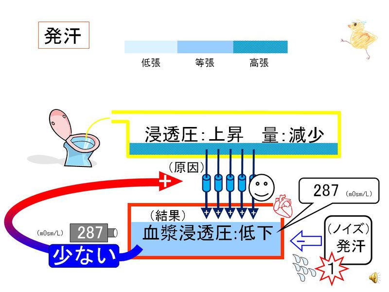 ファイル:02884.jpg