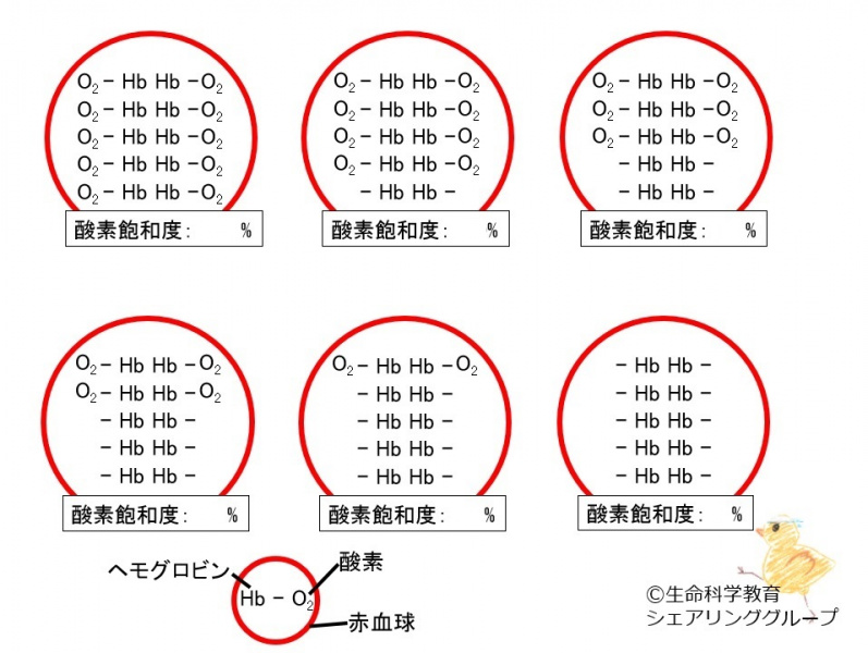 ファイル:03300-wb.jpg