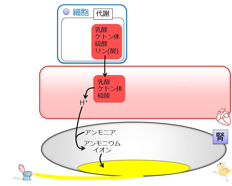 ファイル:03811.jpg