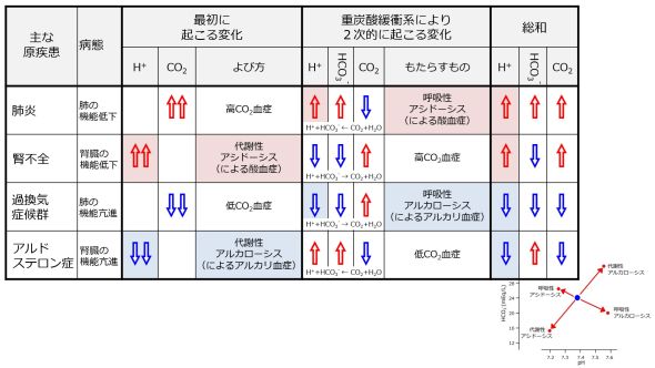 /wiki/images/thumb/d/df/BicorboBasicnateBufferStep2DataSummary-Jpn.jpg/590px-BicorboBasicnateBufferStep2DataSummary-Jpn.jpg